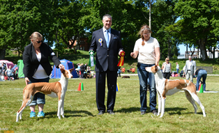 20160612-SKK-Int-Vaenersborg-Domare-Gjoergy-Tesic-BIR-CERT-Chirons-Human-Touch-BIM-CERT-Chirons-Working-On-A-Dream-foto-Kennel-Chiron.jpg 20160612-SKK-Int-Vaenersborg-Domare-Gjoergy-Tesic-BIR-CERT-Chirons-Human-Touch-BIM-CERT-Chirons-Working-On-A-Dream-foto-Kennel-Chiron.jpg