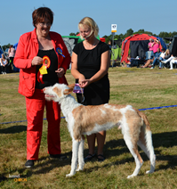 20160910-SKK-Int-Esloev-Domare-Linda-Reinelt-Gebauer-Tyskland-BIR-CACIB-Heron-And-Hound-Waitin-To-Smile-Foto-Kennel-Chiron.jpg 20160910-SKK-Int-Esloev-Domare-Linda-Reinelt-Gebauer-Tyskland-BIR-CACIB-Heron-And-Hound-Waitin-To-Smile-Foto-Kennel-Chiron.jpg