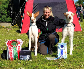 20190511-Dansk-Myndeklubb-Int-Lure-Coursing-Domare-1a-poaeng-Cert-DK-LCCH-Chirons-Im-A-Rocker-2a-poaeng-Heron-And-Hounds-Waitin-To-Smile-Fotograf-Roger-Nilsson.jpg